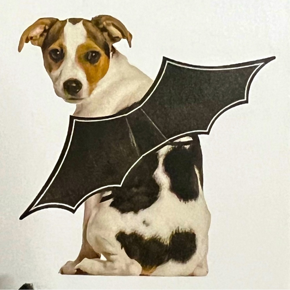 New Pet Bat Wings, Halloween, Costume, Pet Accessory